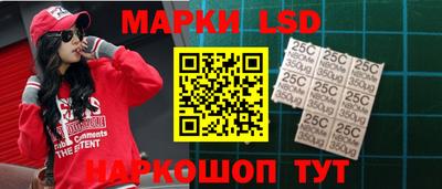 гашик Аргун