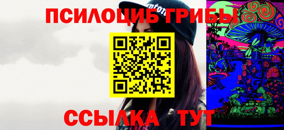хочу   Псилоцибиновые грибы Cubensis  Вход с VPN  Балашиха  Псилоцибиновые грибы прущие грибы 